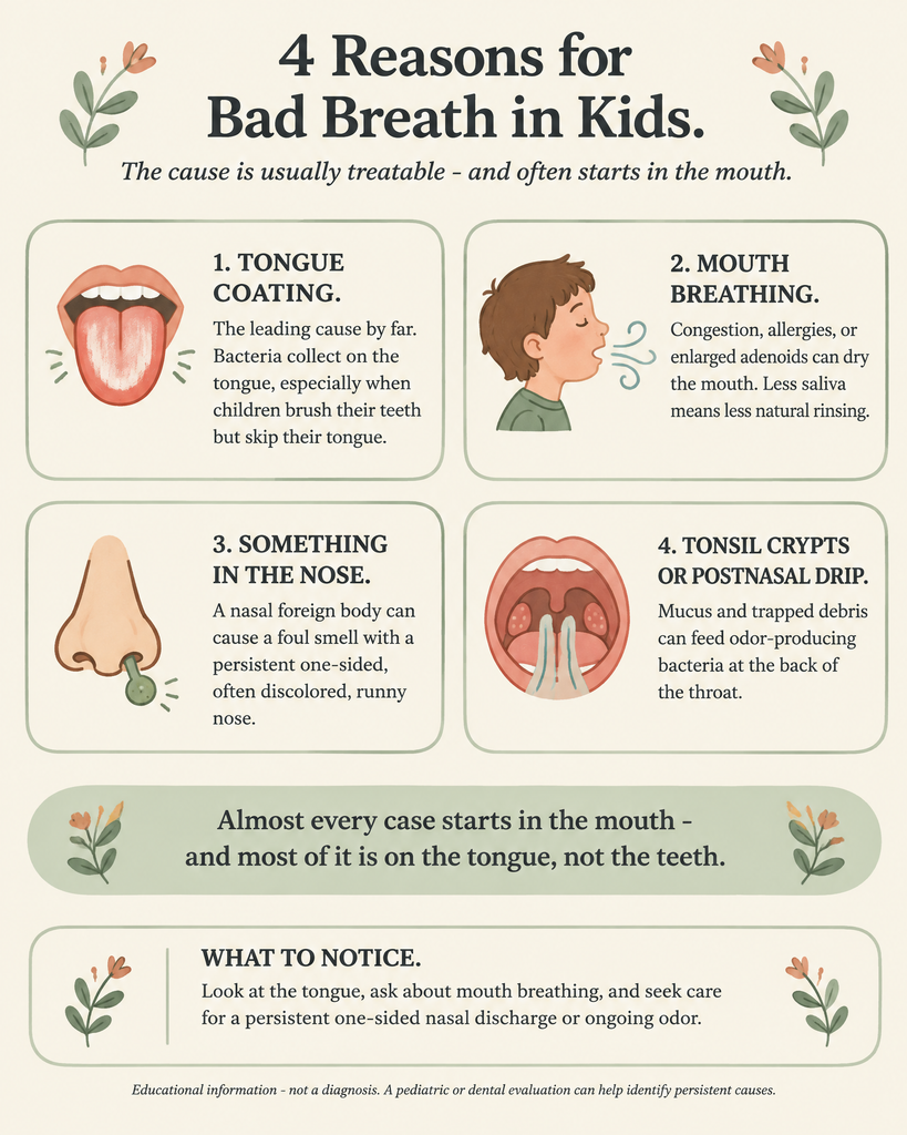 4 reasons bad breath kids infographic