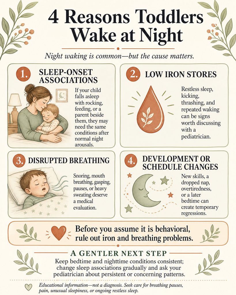 4 reasons toddlers wake infographic 1