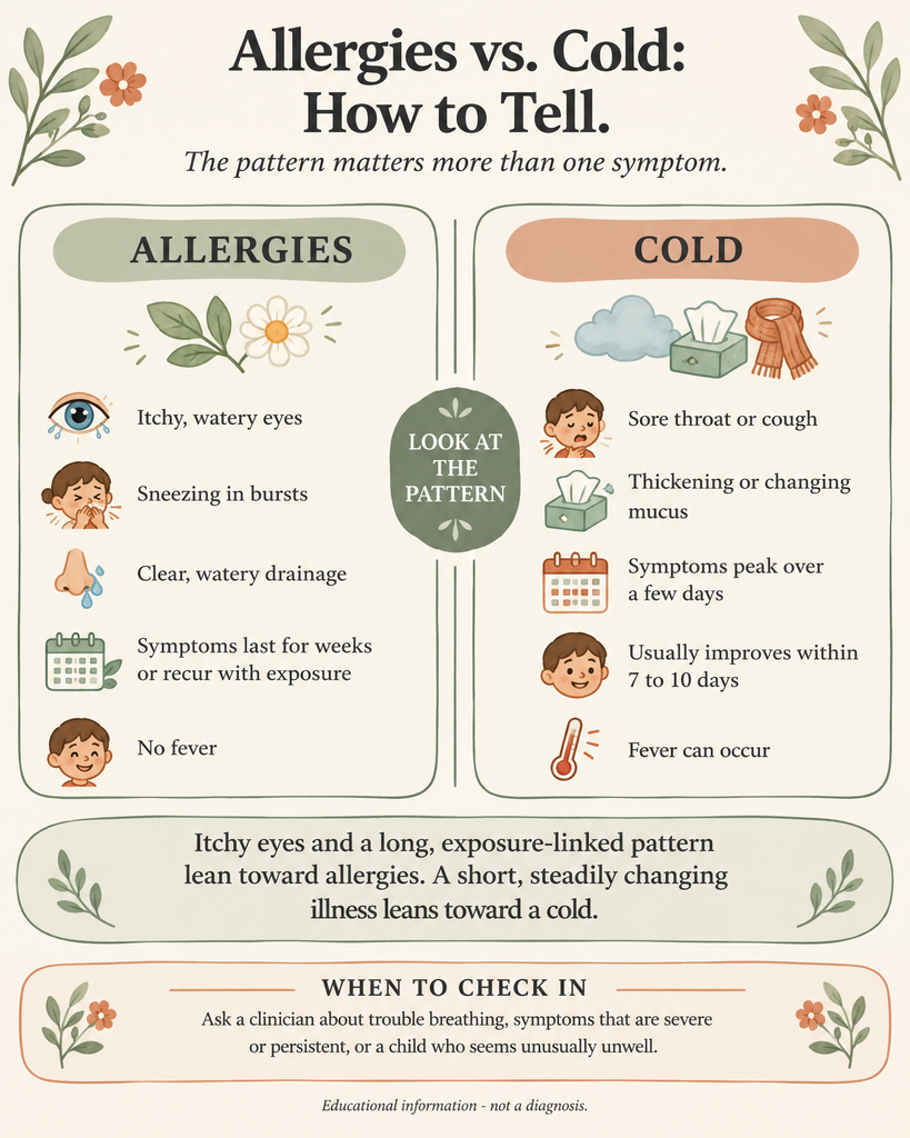 allergies vs cold infographic