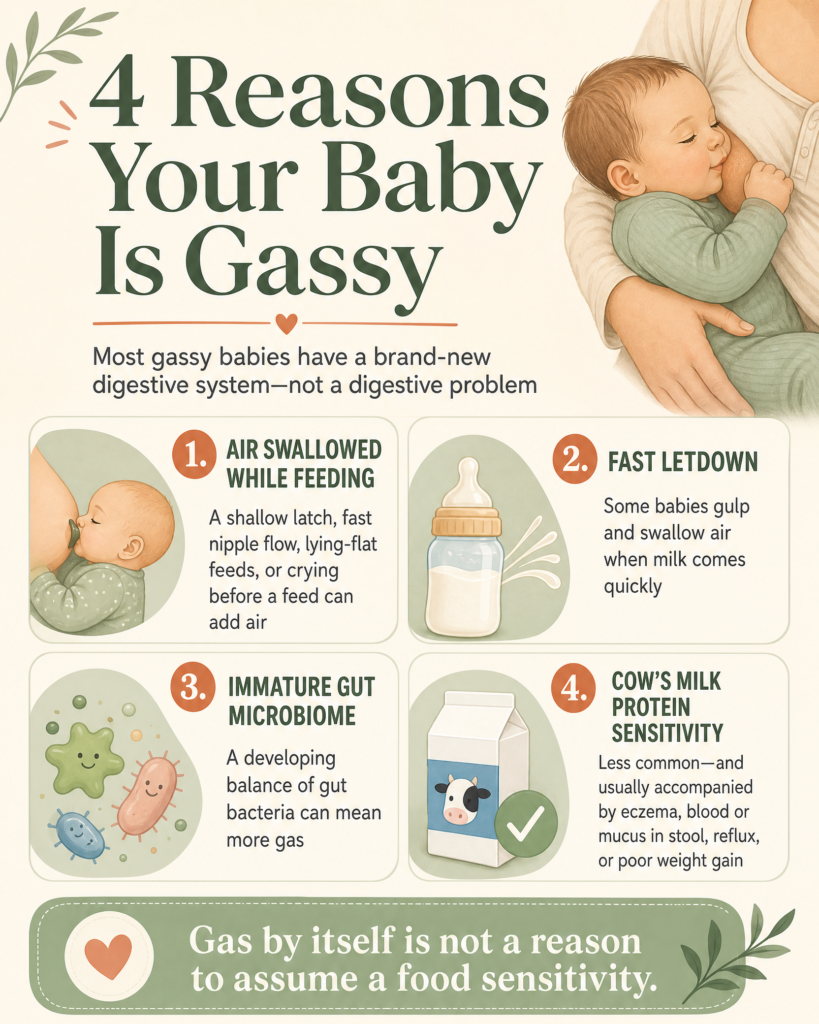 infographic four reasons baby gassy